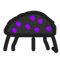 Purple Bug